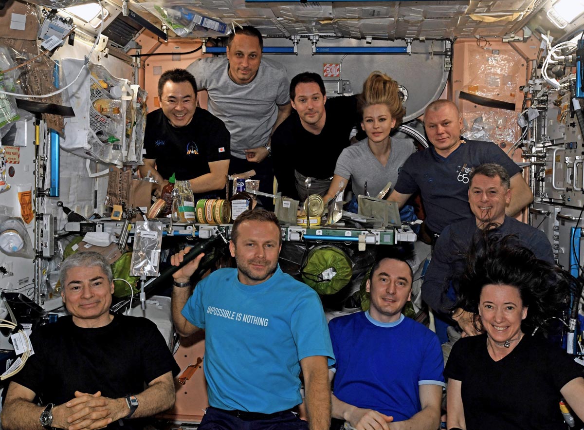 3 6071454463 новицкий